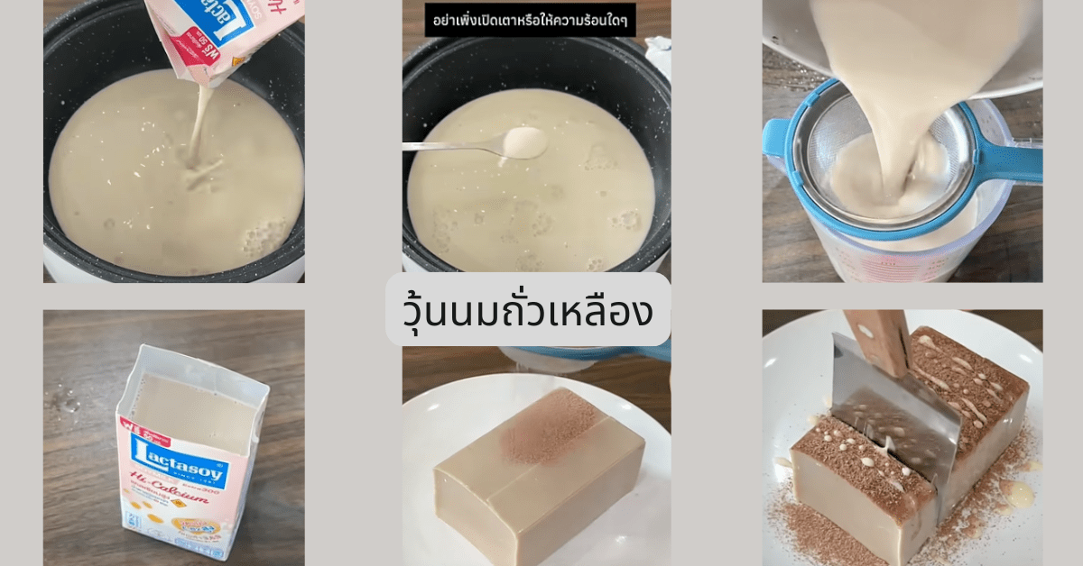 วุ้นนมถั่วเหลืองแบบทั้งกล่อง (Soy Milk Jelly)